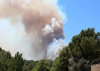 Adana’da 6 noktada orman yangını devam ediyor