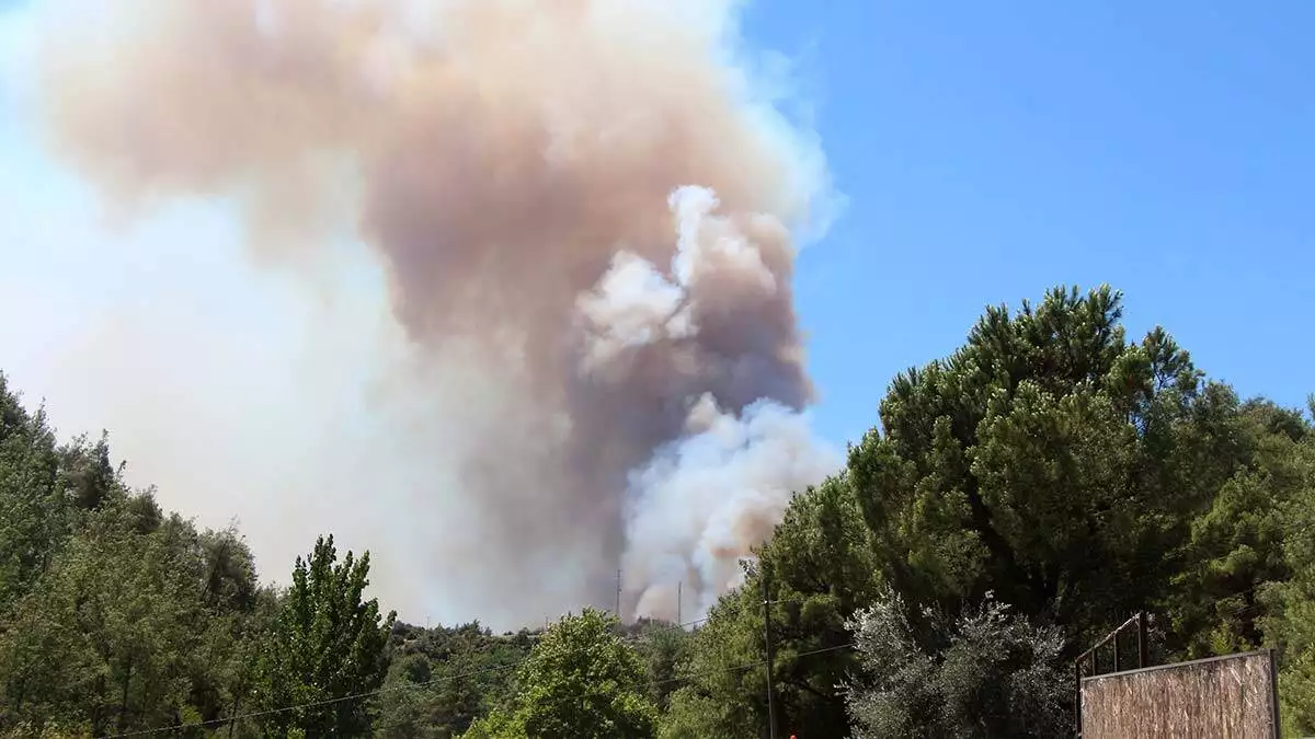 Adana’da 6 noktada orman yangını devam ediyor