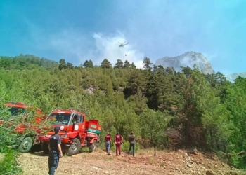 Adana'da orman yangını ekiplerce söndürüldü