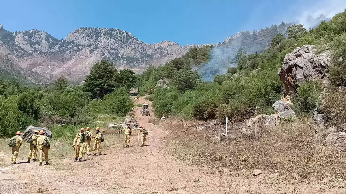 Adanada orman yangini ekiplerce sonduruldu 2 - yerel haberler - haberton