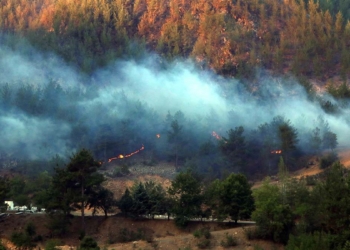 Adana'da yangın kısmen kontrol altına alındı