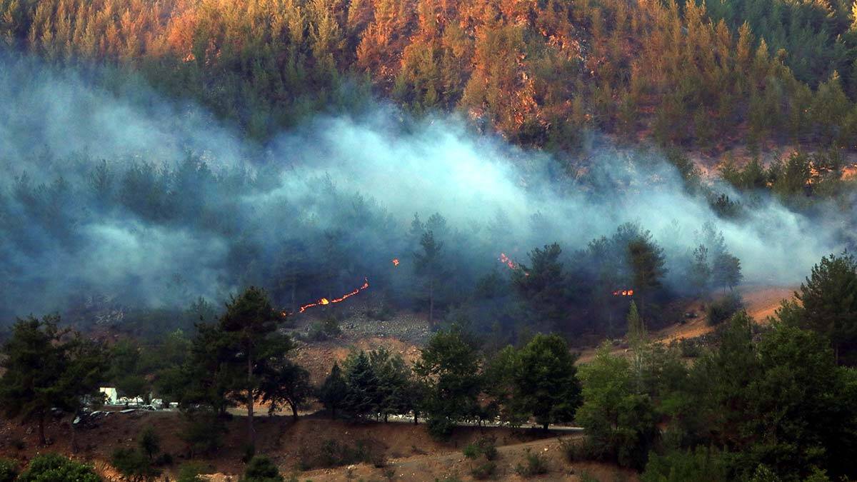 Adana'nın 4 ilçesinde yangın tamamen söndürüldü