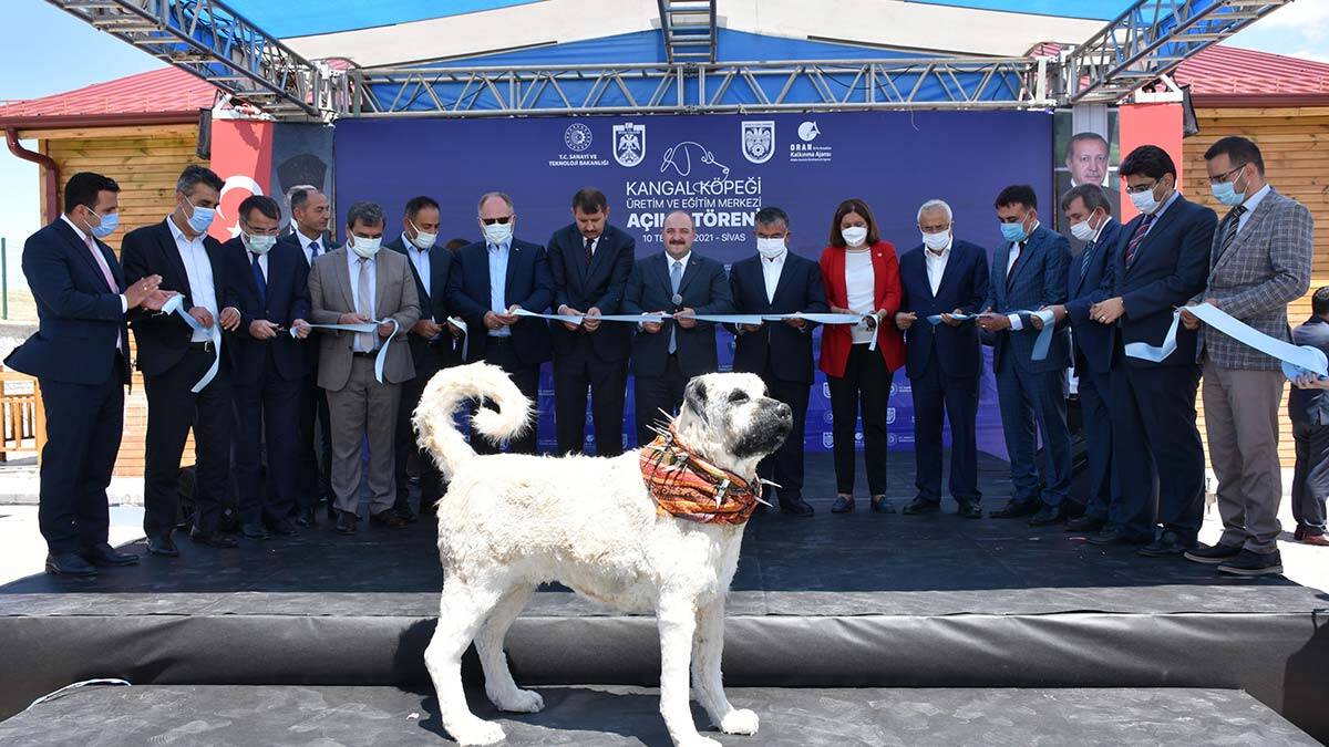 Ankara-Sivas yüksek hızlı treni 4 Eylül'de_
