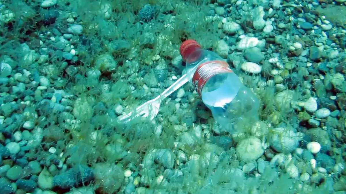 Antalyada deniz dibinde istenmeyen goruntuler olustu - yerel haberler - haberton
