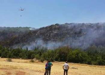 Antalya'da yangında 3 hektar alan zarar gördü