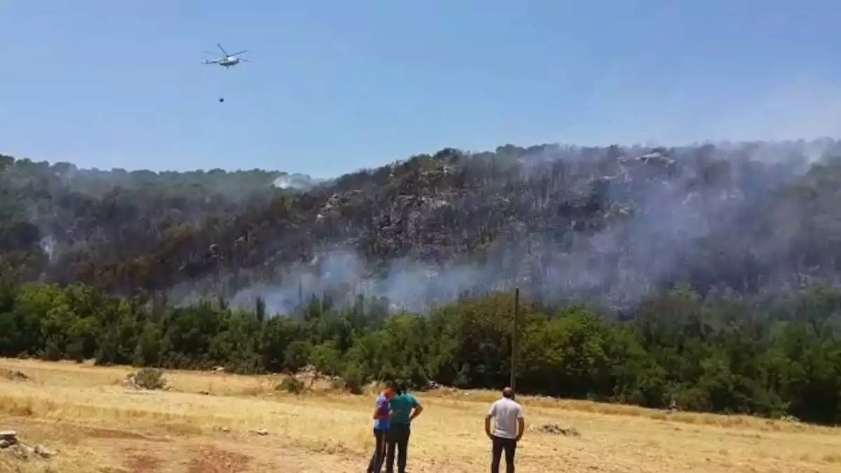 Antalya'da yangında 3 hektar alan zarar gördü