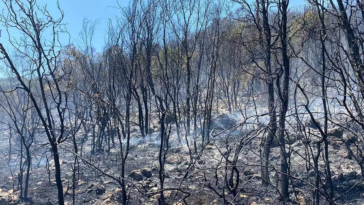 Antalyada yanginda 3 hektar alan zarar gordu 3 - yerel haberler - haberton