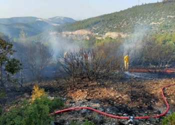 Bilecik'te orman yangınında sabotaj şüphesi