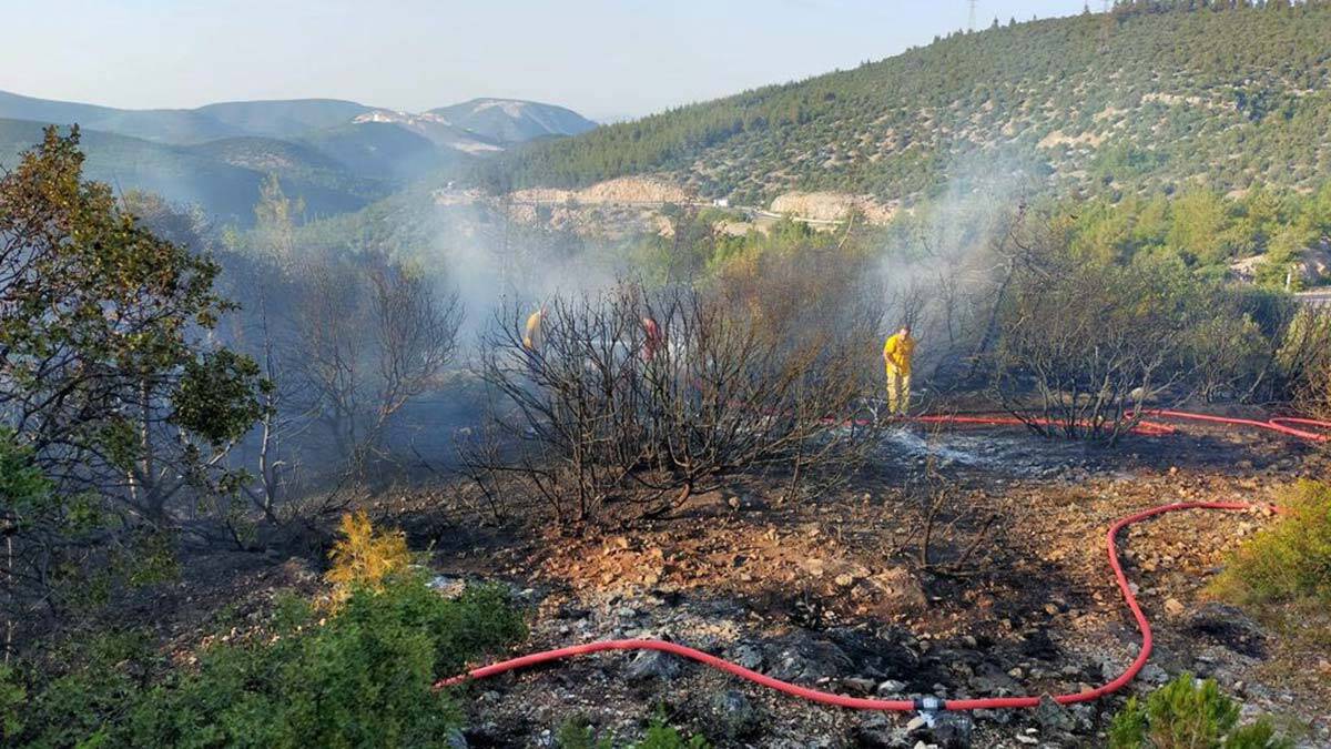 Bilecik'te orman yangınında sabotaj şüphesi