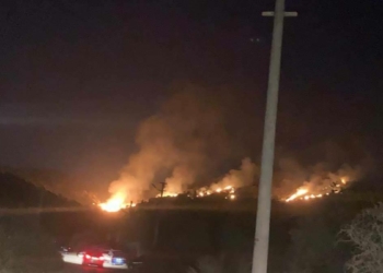 Bodrum'daki yangın kontrol altına alındı