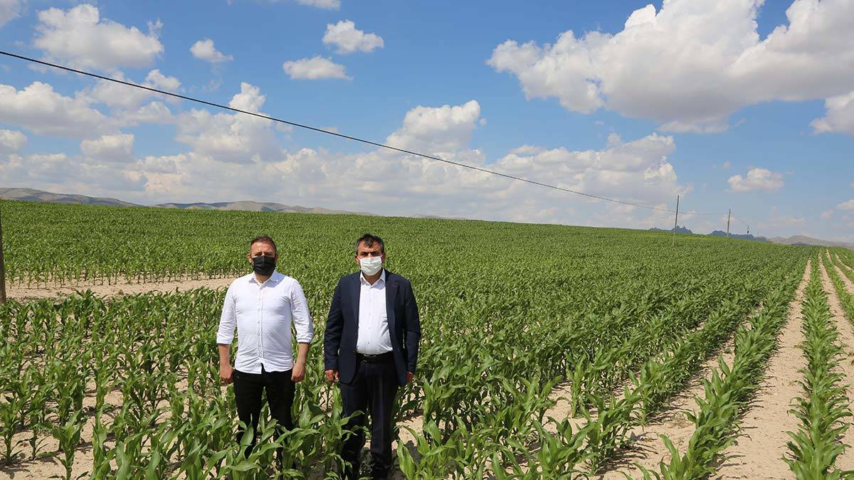 Büyükşehir Belediyesi tarlalarında üretime devam