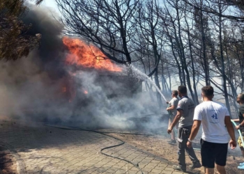 Çanakkale'de orman yangını çıktı