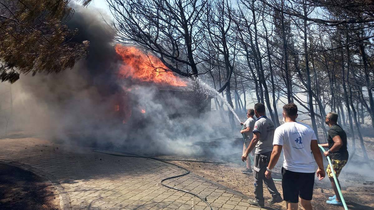 Çanakkale'de orman yangını çıktı
