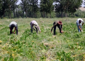 Çapadan kazandığı para ile ilk kitabını bastırdı
