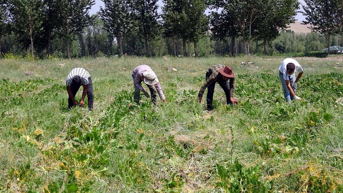 Çapadan kazandığı para ile ilk kitabını bastırdı
