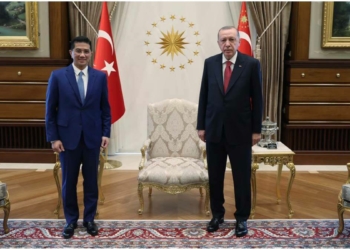 Cumhurbaşkanı Erdoğan Malezyalı bakanı kabul etti