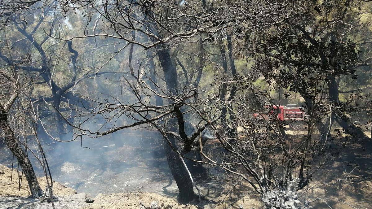 Datça'da 1 hektarlık alan zarar gördü