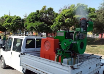 Edirne’de dantel böceğine karşı ilaçlama