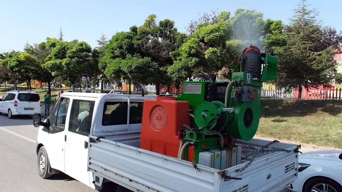 Edirne’de dantel böceğine karşı ilaçlama