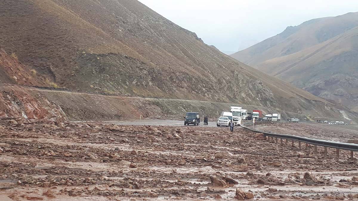 Erciş'te 13 köydeki taşkında hayvanlar telef oldu