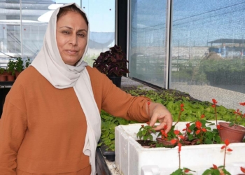 Ev hanımı Güneydoğu’nun ilk çiçek serasını kurdu_