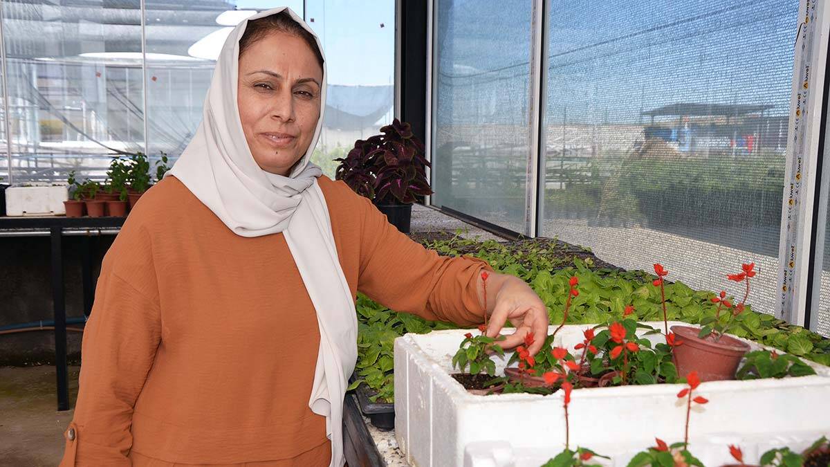 Ev hanımı Güneydoğu’nun ilk çiçek serasını kurdu_