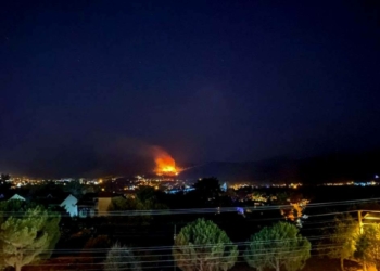 Fethiye'de orman yangını kontrol altına alındı