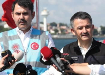 Flamingo ölümleri ile ilgili Bakan'dan açıklama geldi