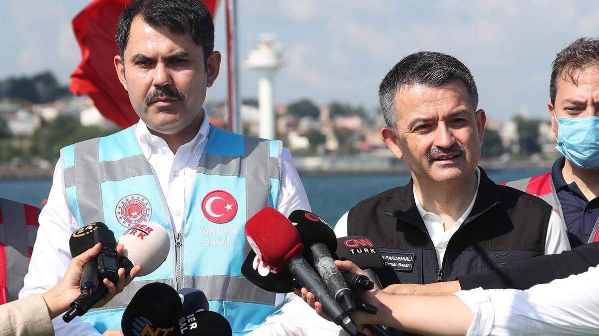 Flamingo ölümleri ile ilgili Bakan'dan açıklama geldi