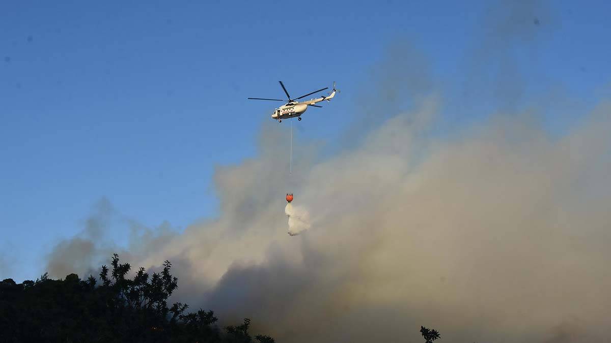 Foça'daki yangın kontrol altına alındı_