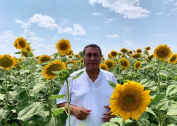 Ayçiçek yağında dışa bağımlılıktan kurtulmalıyız