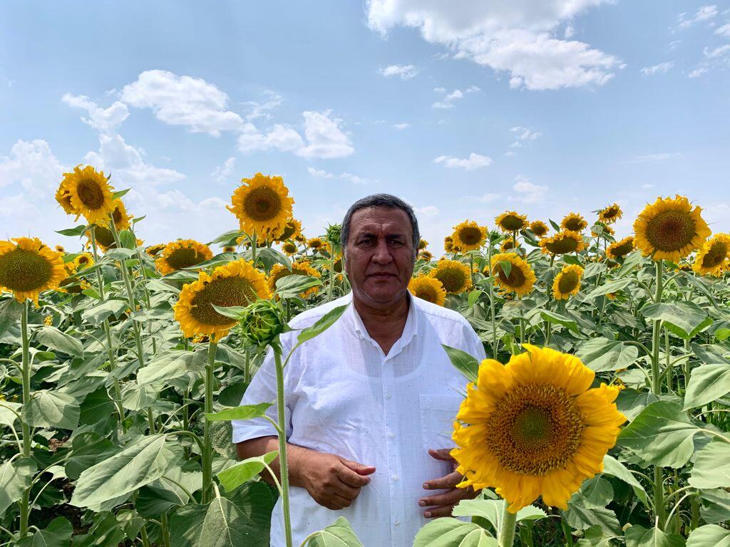 Ayçiçek yağında dışa bağımlılıktan kurtulmalıyız