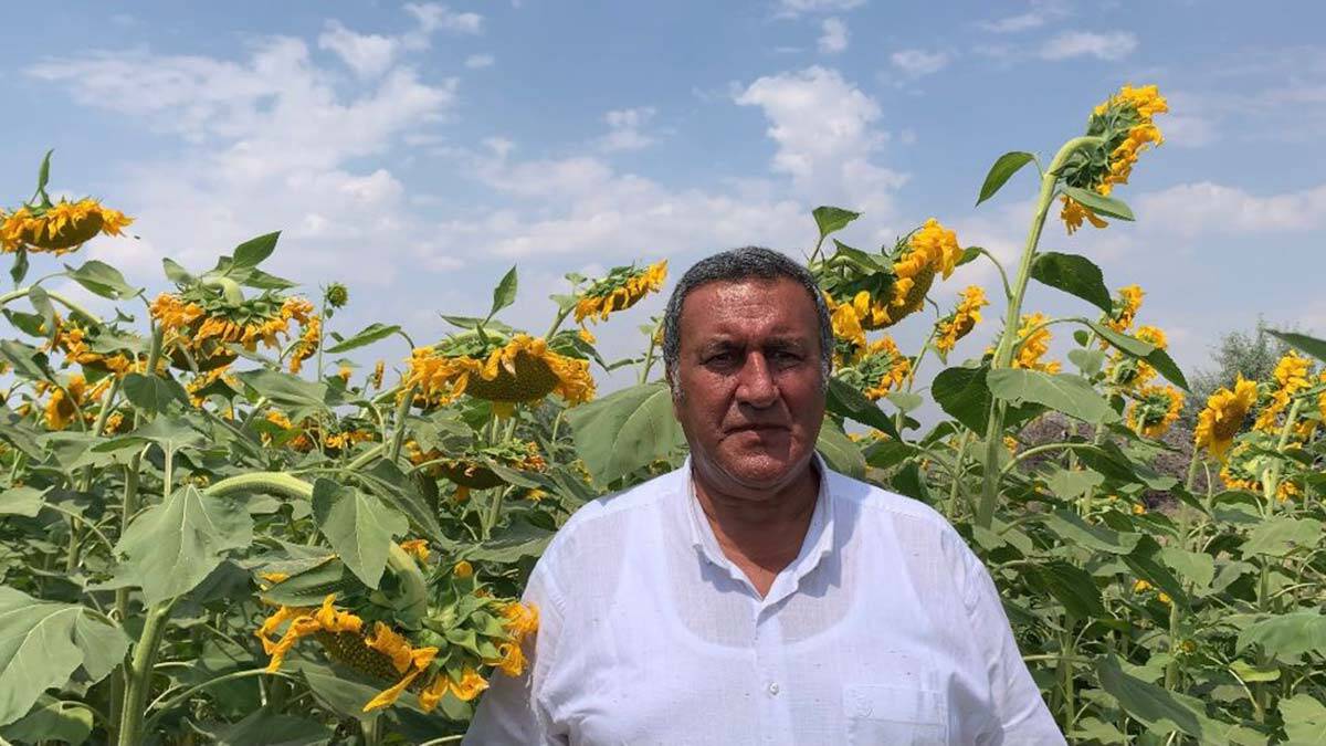 Ayçiçek yağında dışa bağımlılıktan kurtulmalıyız