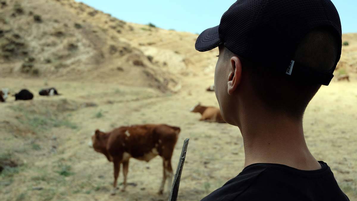 Genç Picasso destek bekliyor