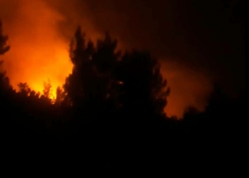 Hatay'da 3 hektar orman alanı yandı