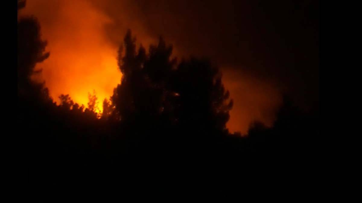 Hatay'da 3 hektar orman alanı yandı