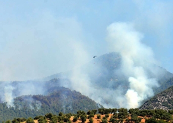 Hatay'da başlayan yangına müdahale sürüyor