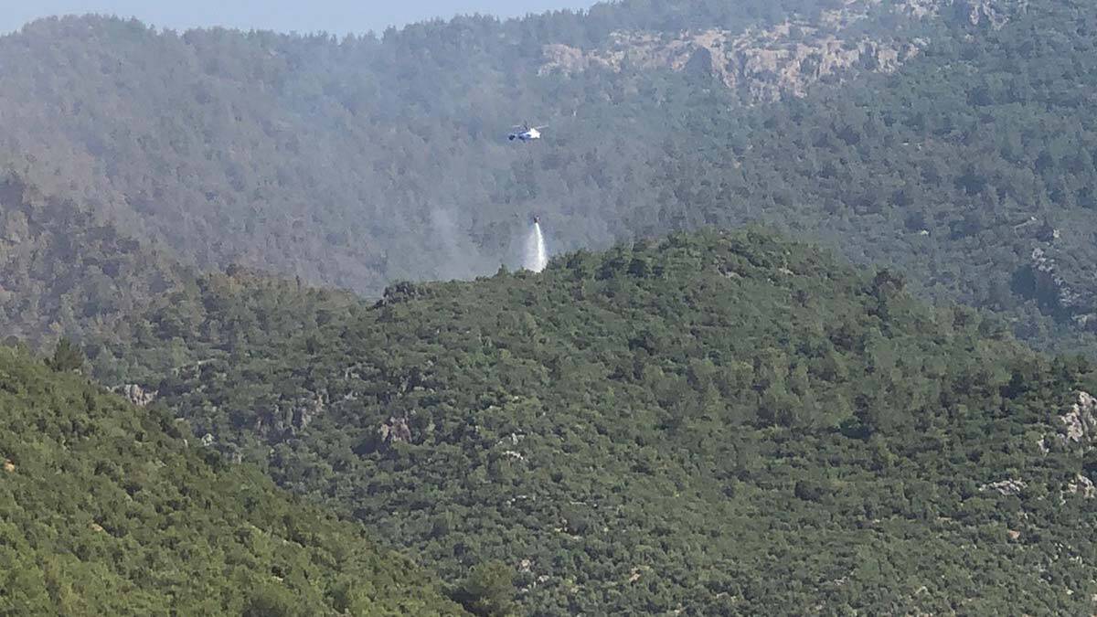 Hatay'da yangın kontrol altına alındı
