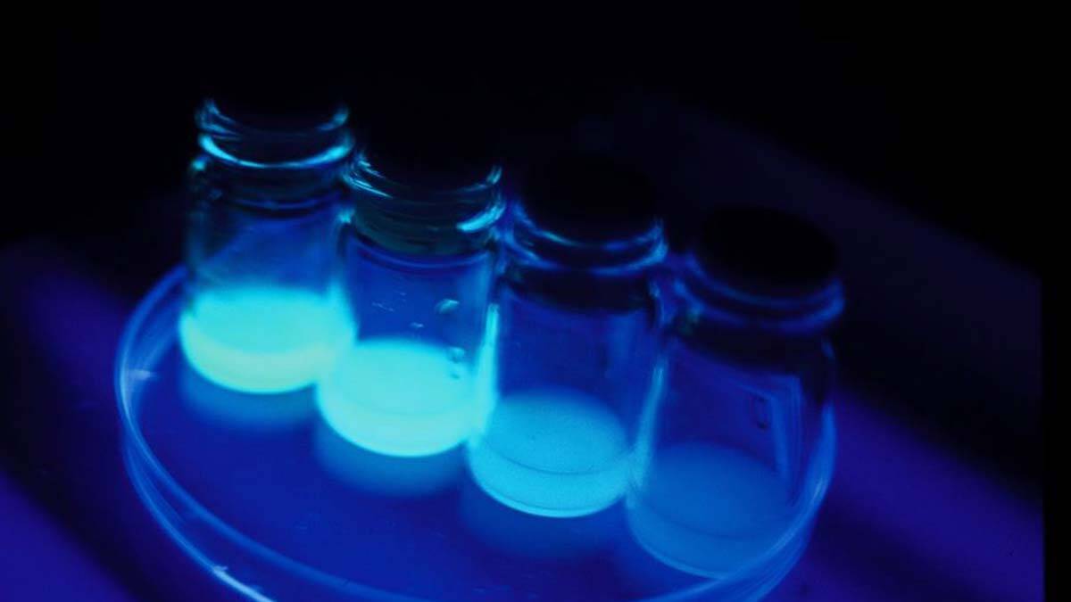 İsrail'de Bilim İnsanları Mayın Tespit Sistemi Geliştirdi