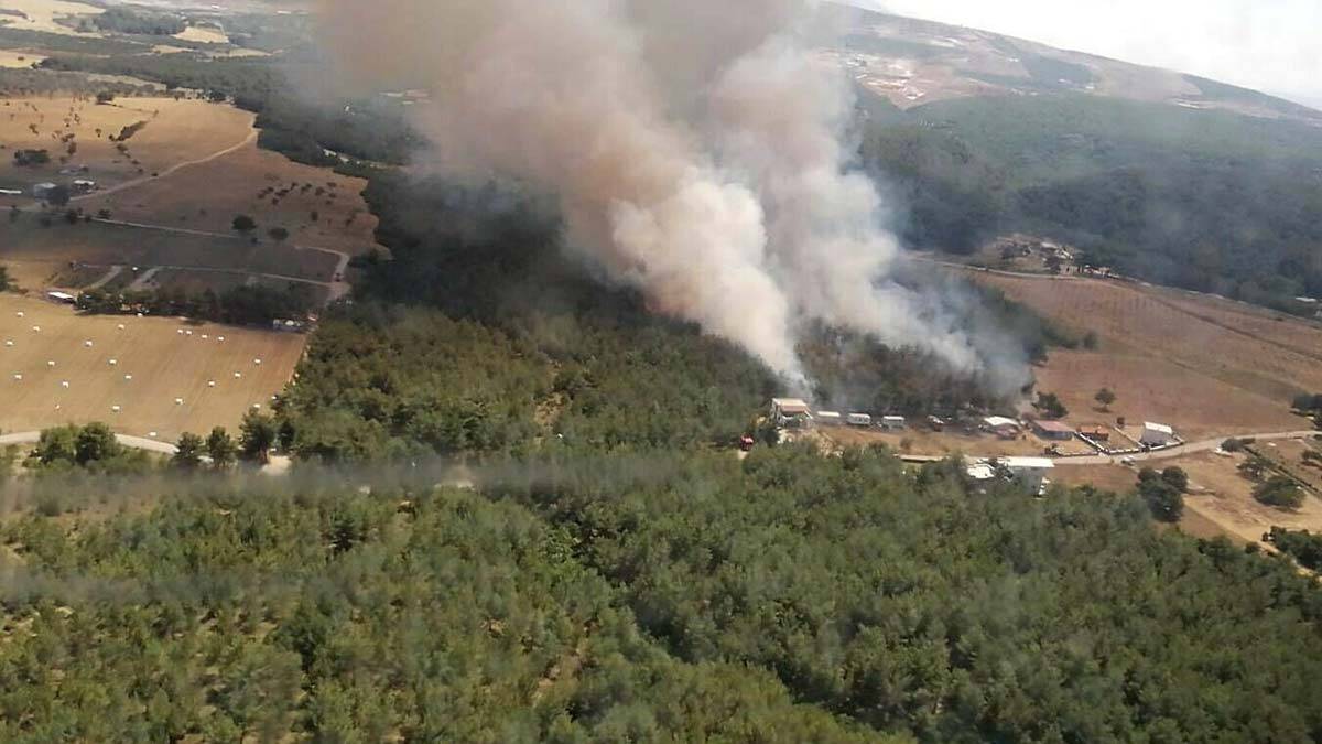 İzmir'de yangında 2 dönümlük alan zarar gördü