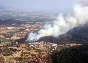 İzmir'in Foça ilçesinde çamlık alanda yangın çıktı