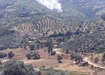 İzmir'in Kiraz ilçesinde yangın çıktı