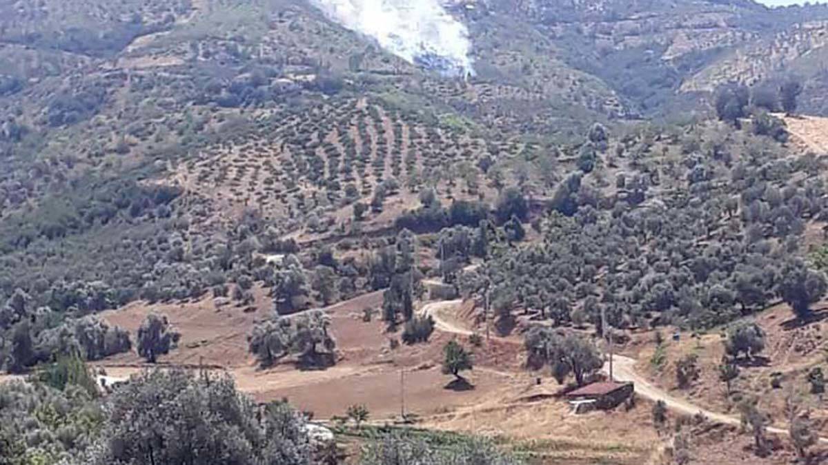 İzmir'in Kiraz ilçesinde yangın çıktı