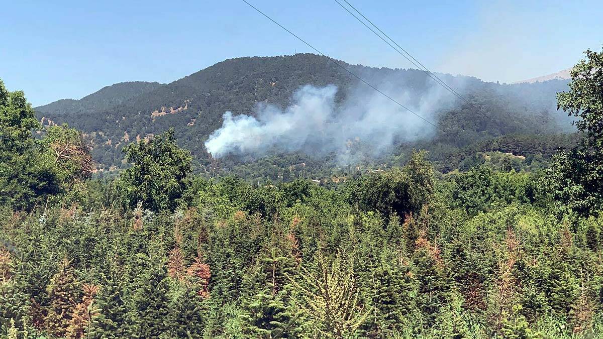 İzmir'in Ödemiş ilçesinde yangın çıktı
