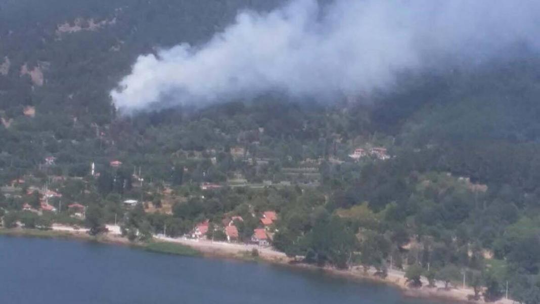 İzmir'in Ödemiş ilçesinde yangın çıktı