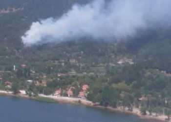 İzmir'in Ödemiş ilçesinde yangın çıktı