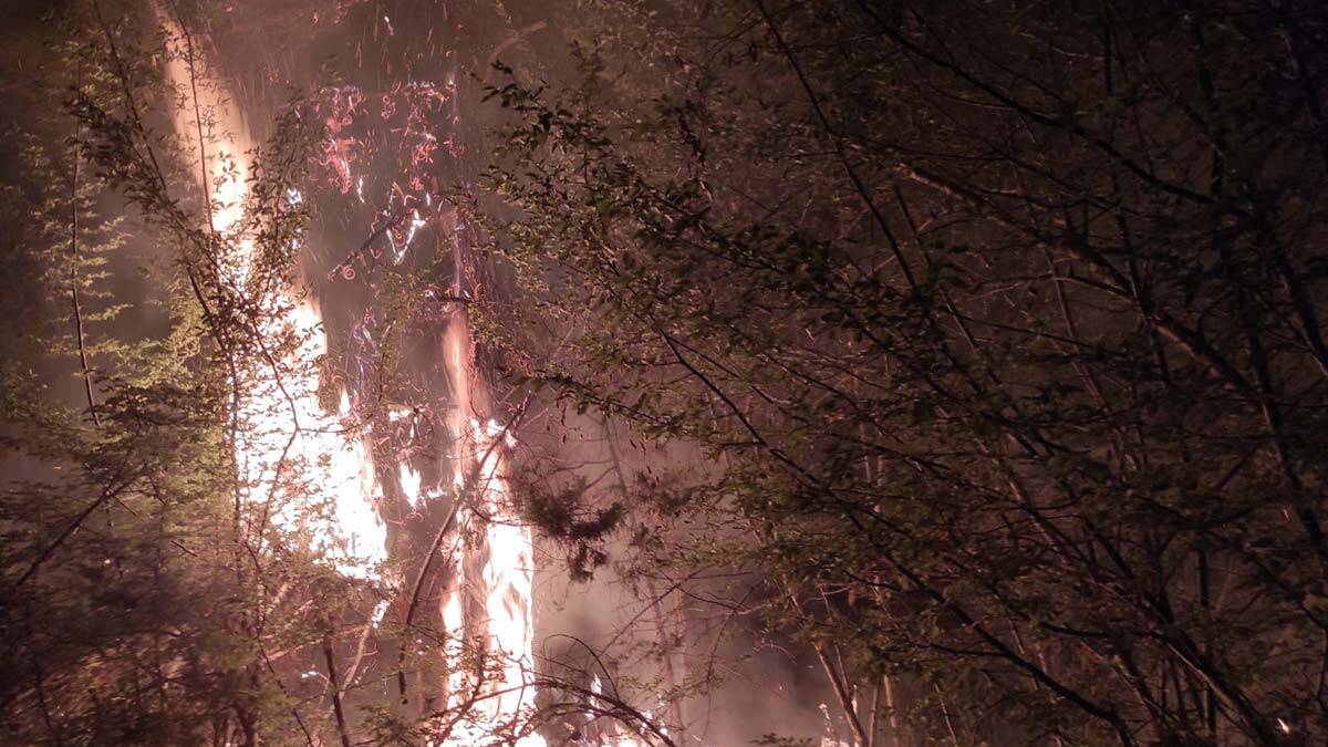 Kahramanmaraş yangını kısa sürede söndürülürken 3 hektar alan zarar gördü