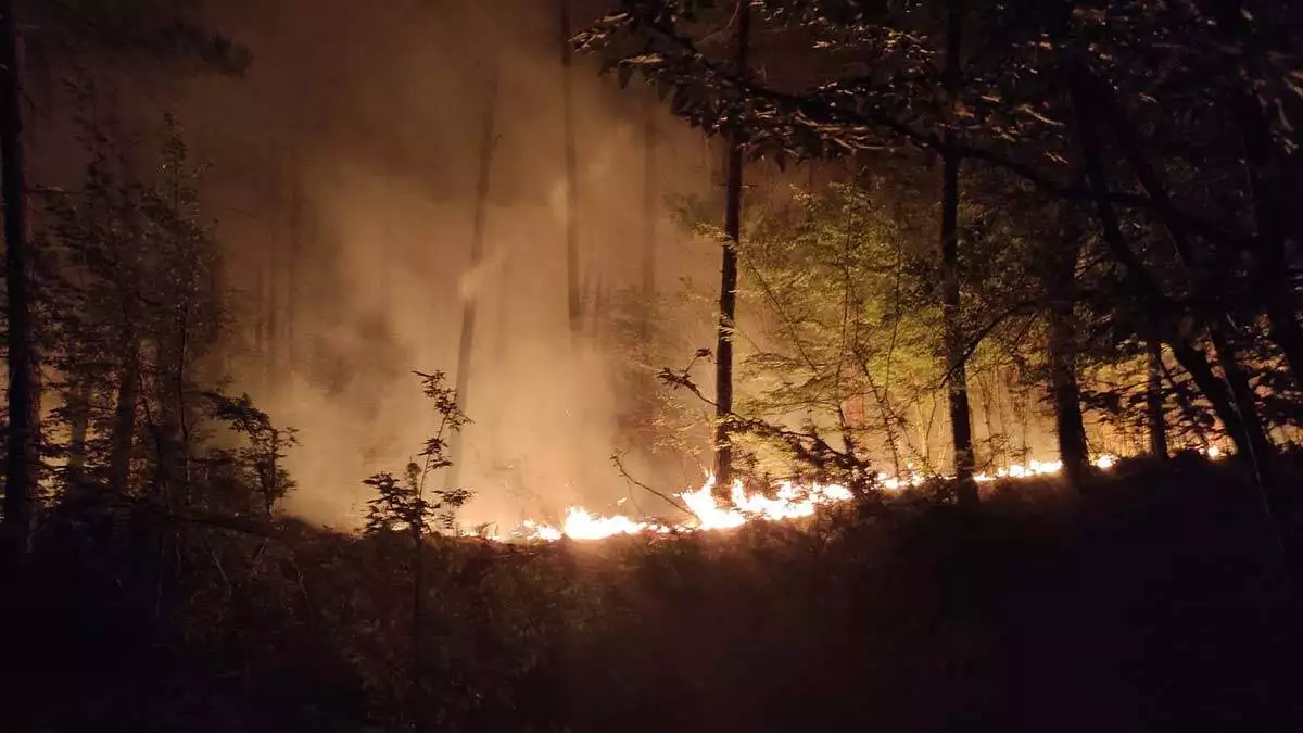 Kahramanmaras yangininda 3 hektar alan zarar gordu 3 - yerel haberler - haberton