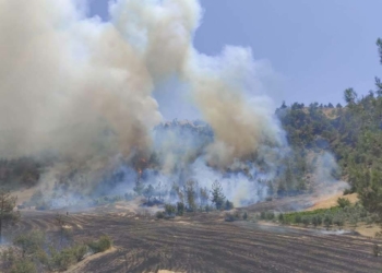 Kahramanmaraş'ta orman yangını çıktı