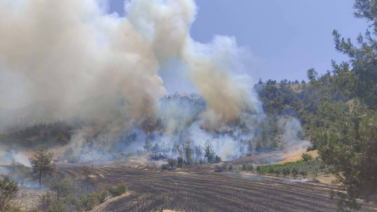 Kahramanmaraş'ta orman yangını çıktı